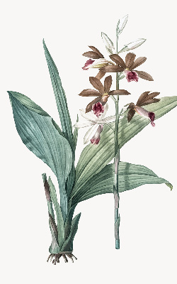 Rolgordijn verduisterend Bloem