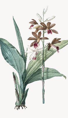 Rolgordijn verduisterend Bloem