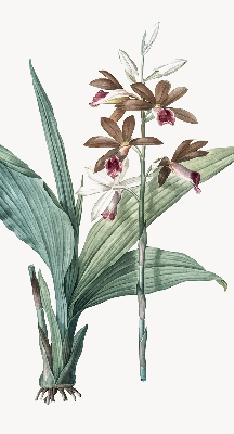 Rolgordijn verduisterend Bloem