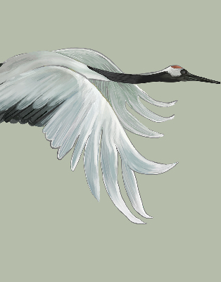 Rolgordijn verduisterend Kraan in vlucht