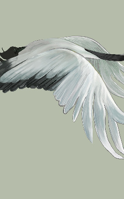 Rolgordijn verduisterend Kraan in vlucht