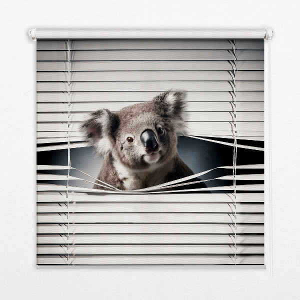 Rolgordijn verduisterend Koala