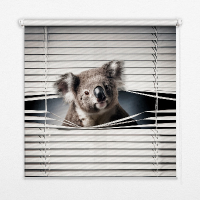 Rolgordijn verduisterend Koala