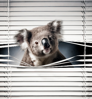 Rolgordijn verduisterend Koala