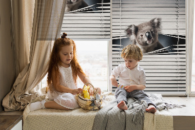 Rolgordijn verduisterend Koala
