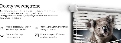 Rolgordijn verduisterend Koala