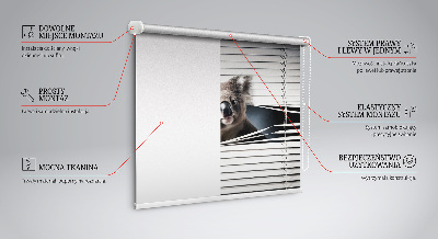 Rolgordijn verduisterend Koala