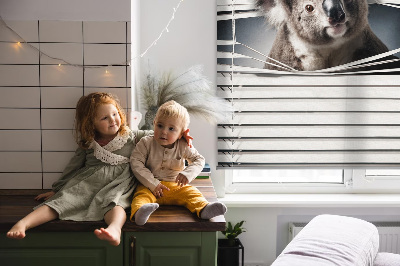 Rolgordijn verduisterend Koala