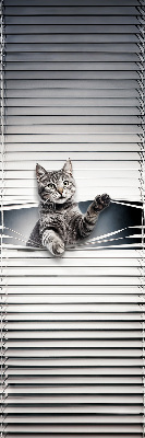 Rolgordijn voor het raam Kat