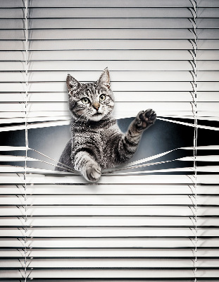 Rolgordijn voor het raam Kat
