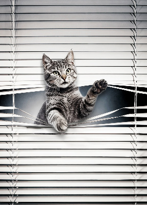 Rolgordijn voor het raam Kat