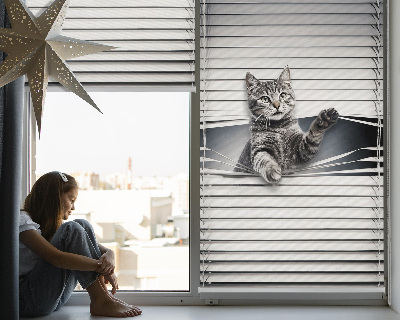 Rolgordijn voor het raam Kat