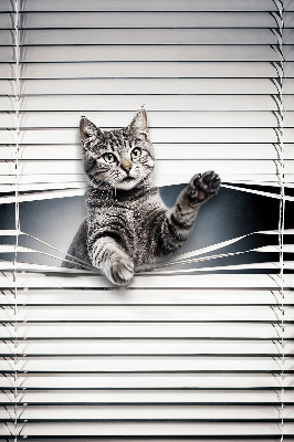 Rolgordijn voor het raam Kat