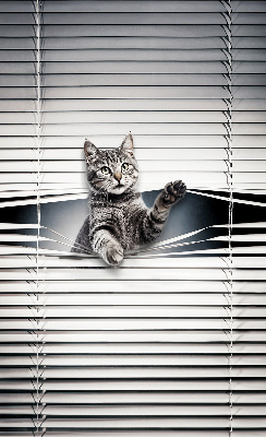 Rolgordijn voor het raam Kat
