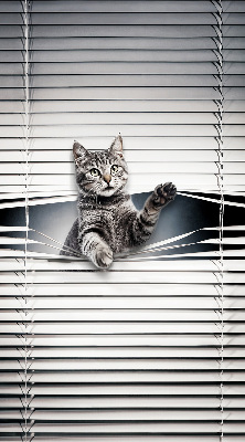 Rolgordijn voor het raam Kat