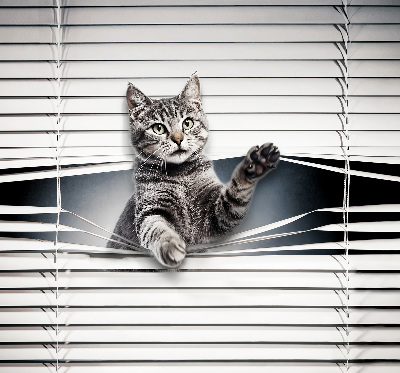 Rolgordijn voor het raam Kat