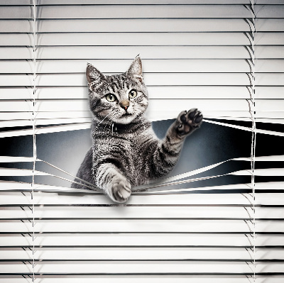 Rolgordijn voor het raam Kat
