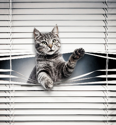 Rolgordijn voor het raam Kat