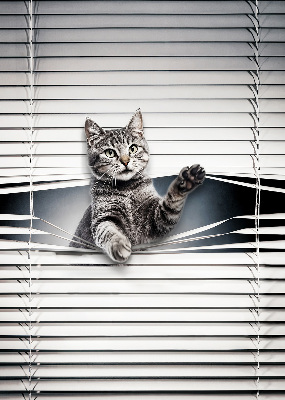 Rolgordijn voor het raam Kat