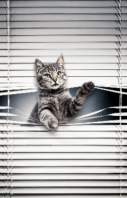 Rolgordijn voor het raam Kat