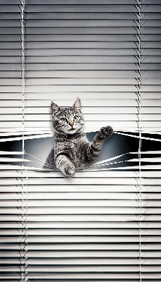 Rolgordijn voor het raam Kat