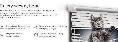 Rolgordijn voor het raam Kat