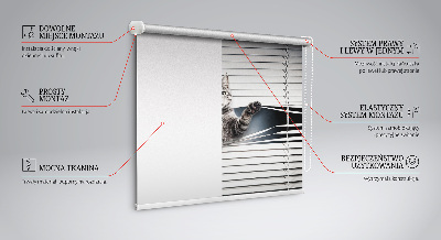 Rolgordijn voor het raam Kat