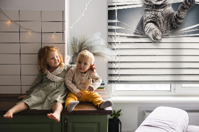 Rolgordijn voor het raam Kat