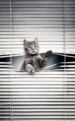 Rolgordijn voor het raam Kat