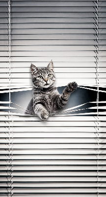 Rolgordijn voor het raam Kat