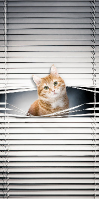 Rolgordijn verduisterend Gember kat