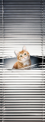 Rolgordijn verduisterend Gember kat