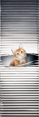 Rolgordijn verduisterend Gember kat