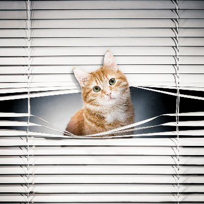 Rolgordijn verduisterend Gember kat