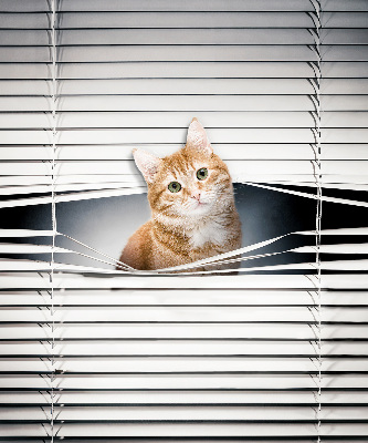 Rolgordijn verduisterend Gember kat