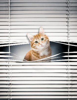 Rolgordijn verduisterend Gember kat