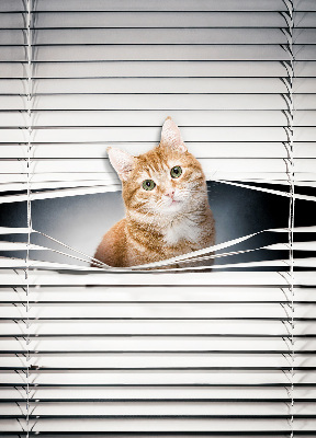 Rolgordijn verduisterend Gember kat