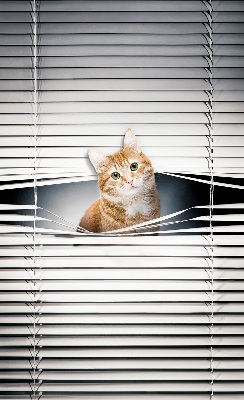 Rolgordijn verduisterend Gember kat