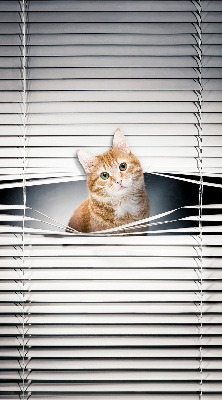 Rolgordijn verduisterend Gember kat