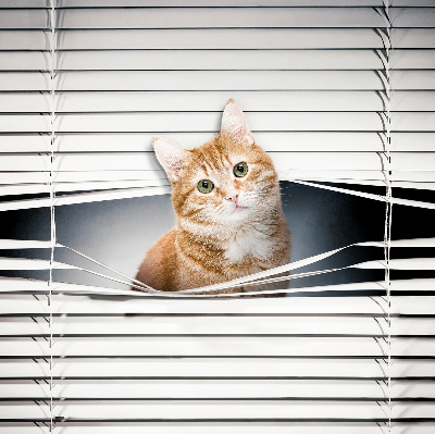 Rolgordijn verduisterend Gember kat