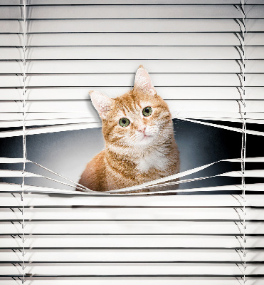 Rolgordijn verduisterend Gember kat