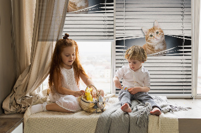 Rolgordijn verduisterend Gember kat