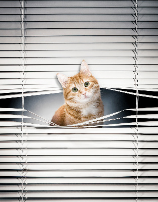 Rolgordijn verduisterend Gember kat