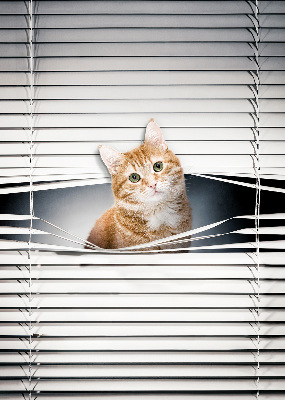 Rolgordijn verduisterend Gember kat