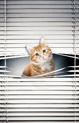 Rolgordijn verduisterend Gember kat