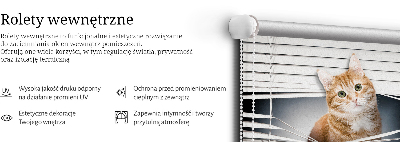 Rolgordijn verduisterend Gember kat