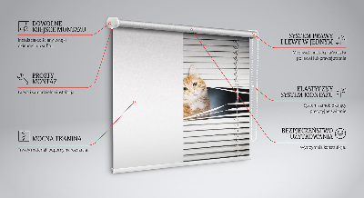 Rolgordijn verduisterend Gember kat