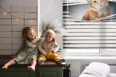 Rolgordijn verduisterend Gember kat