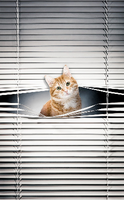 Rolgordijn verduisterend Gember kat