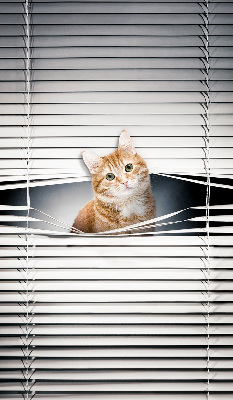 Rolgordijn verduisterend Gember kat